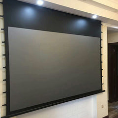 skerell projector screen Tab-tension recessed ceiling projector screen projection screen